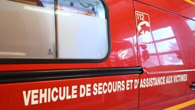 Estudiante de secundaria muere en terrible accidente con motosierra Estudiante de secundaria muere en terrible accidente con motosierra